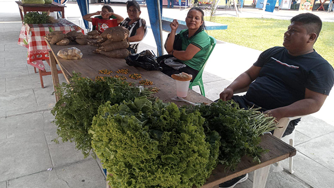 Gran Feria Agropecuaria ‘Maynas Productivo 2024’