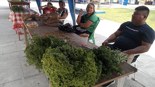 Gran Feria Agropecuaria ‘Maynas Productivo 2024’