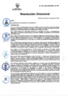 Vista preliminar de documento RD Nº 196-2024-DGINSM-HD-HN