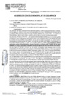 Vista preliminar de documento ACM24N181