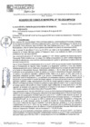 Vista preliminar de documento ACM24N183