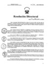 Vista preliminar de documento RD N°  240-2024-HNCH-DG