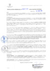 Vista preliminar de documento RG. 000705-2024-GSATDE.