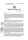 Vista preliminar de documento RD N° 224-2024-DG-INMP/MINSA