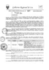 Vista preliminar de documento rer-507-2024-gore-ica-gr