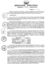Vista preliminar de documento Resolucion Directoral Regional N° 313-GRU-DRTC