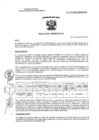 Vista preliminar de documento RA N° 112-2024-OEA-HNCH