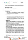 Vista preliminar de documento TDR 2809-2024