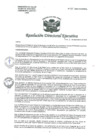 Vista preliminar de documento R.D.E. Nº185-2024-HNAL-OEA