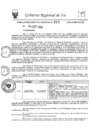 Vista preliminar de documento rer-513-2024-gore-ica-gr