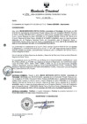 Vista preliminar de documento RESOLUCION DIRECTORAL N° 241-2024