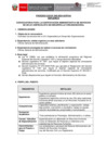 Vista preliminar de documento CAS 046-2024 Especialista en Desarrollo Organizacional