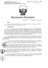 Vista preliminar de documento rd-n-311-2017 pdf