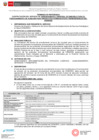 Vista preliminar de documento TDR- 02.09.2024