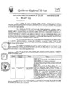 Vista preliminar de documento rer-518-2024-gore-ica-gr
