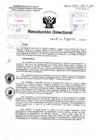 Vista preliminar de documento R.D N° 295-2017 pdf