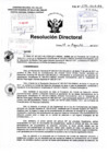 Vista preliminar de documento R.D N° 294-2017 pdf