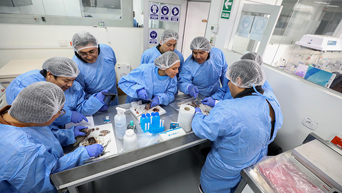 Sanipes capacita a 20 profesionales de Devida, Fondepes y Produce en toma de muestras para diagnosticar enfermedades infecciosas en peces