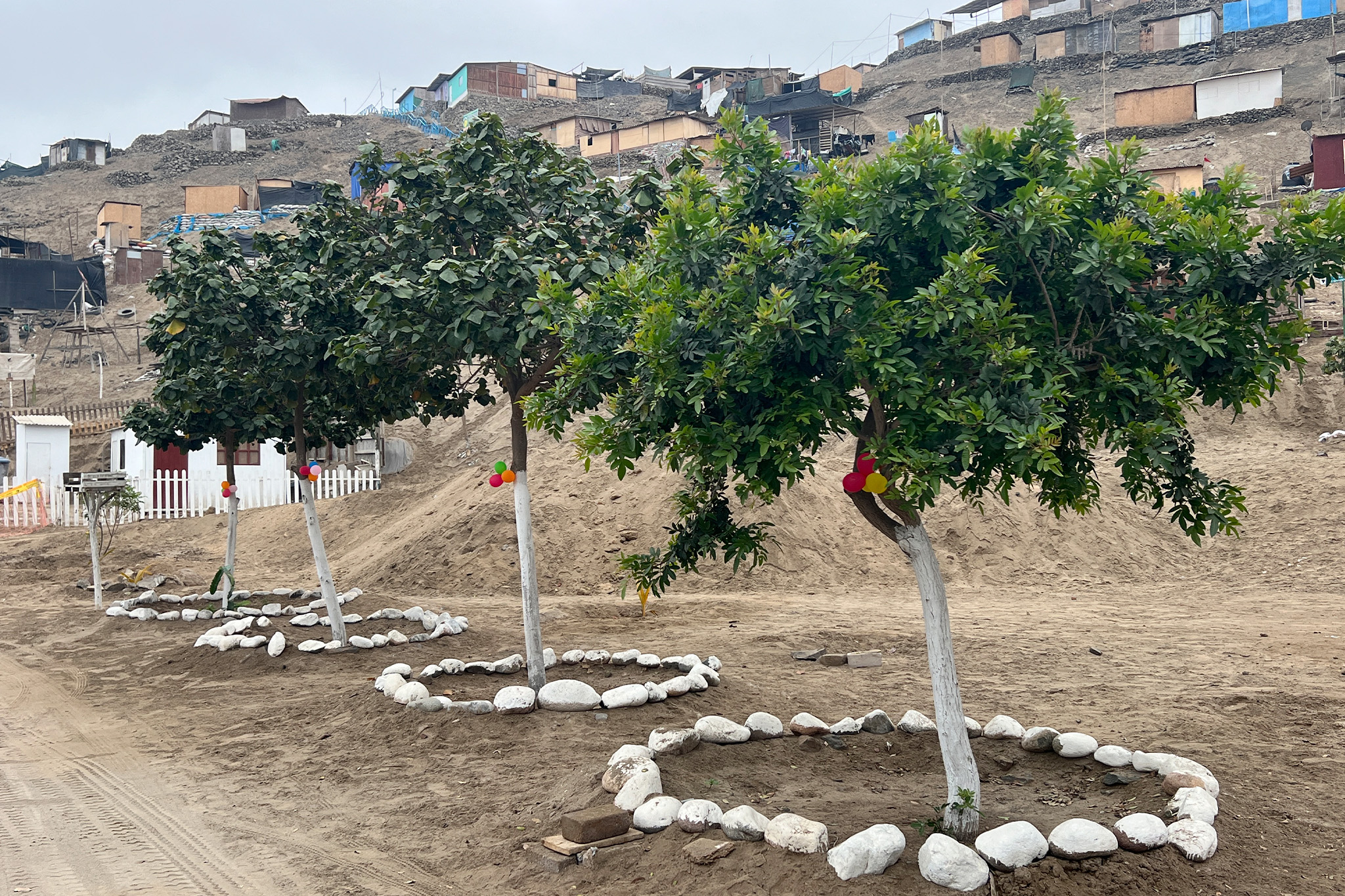 Municipalidad de Chilca impulsó el Concurso 'Mi anexo limpio' que promueve las buenas prácticas ambientales y ecológicas.