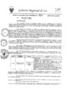 Vista preliminar de documento rer-524-2024-gore-ica-gr