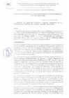 Vista preliminar de documento RGSPGA_323_2024_MDI