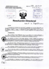 Vista preliminar de documento RD-272-2017 pdf