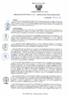 Vista preliminar de documento rd171