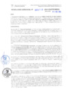 Vista preliminar de documento RG. 000718-2024-GSATDE.