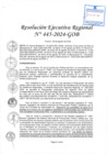 Vista preliminar de documento RER 445-2024-GOB
