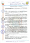Vista preliminar de documento 21133