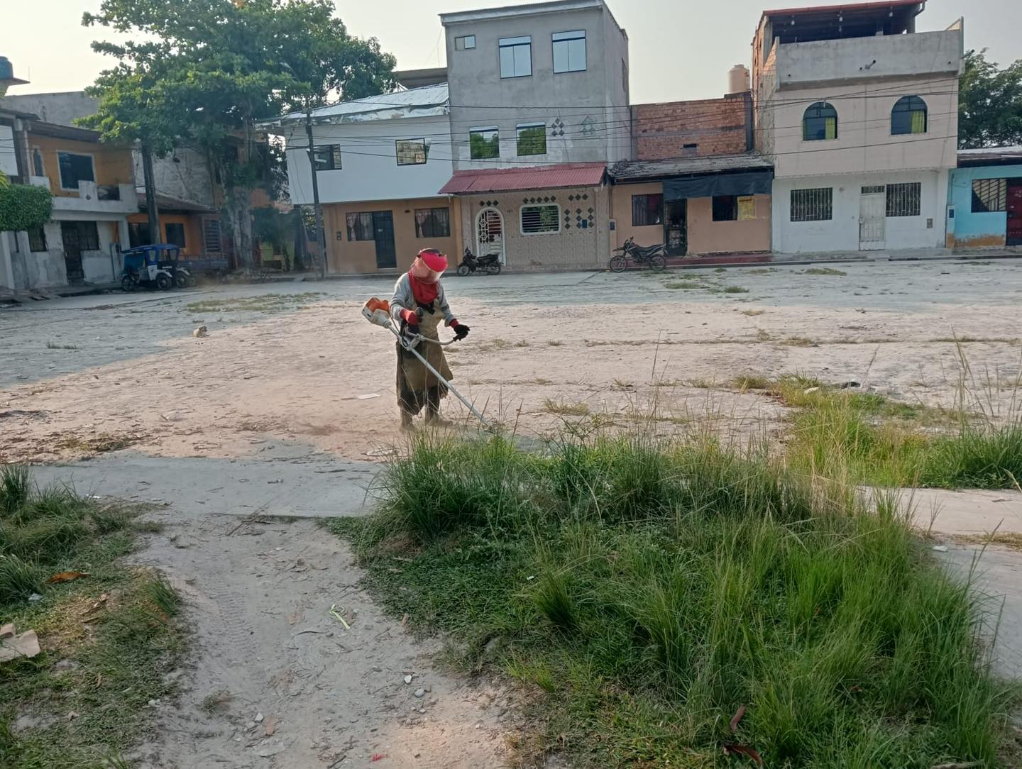 Sub Gerencia de Gestión Ambiental realizó la limpieza de las áreas verdes en la Urb. Mártires de la Democracia.
