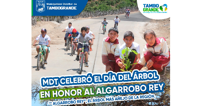 𝑴𝑫𝑻 celebro el día del árbol en honor al Algarrobo Rey
