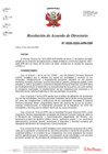 Vista preliminar de documento N°0026-2020-APN-DIR