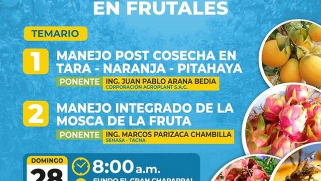 Foto de la reunión 1