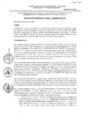 Vista preliminar de documento Resolucion_Gerencial_00095-2024-MPM-CH-GDTI
