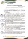 Vista preliminar de documento RESOLUCIÓN DE ALCALDÍA N° 062-2024-A-MDP