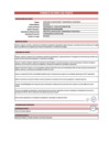 Vista preliminar de documento  ANEXO 01 - PERFIL DE PUESTO