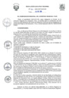 Vista preliminar de documento R.E.R. Nro 252-2024-GR-GR PUNO