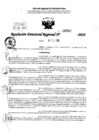 Vista preliminar de documento RDR 0507-2024