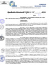 Vista preliminar de documento Resolucion Directoral N° 004813-2024
