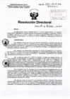 Vista preliminar de documento RD-255-2017 pdf