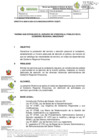 Vista preliminar de documento DIRECTIVA-000010-2024
