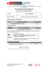 Vista preliminar de documento RE039-2024