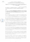 Vista preliminar de documento RGSPGA_255_2024_MDI