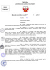 Vista preliminar de documento Resolucion Directoral N° 004828-2024