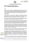 Vista preliminar de documento RDE-000209-2024-DE