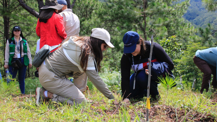 Salida a campo en Honduras para validación de la metodología