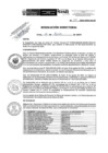 Vista preliminar de documento R.D.N.310-2024-INSN-DG