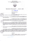 Vista preliminar de documento RD Nº001136 06-03-202307092023112326