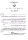 Vista preliminar de documento RD Nº001138 06-03-202307092023112418